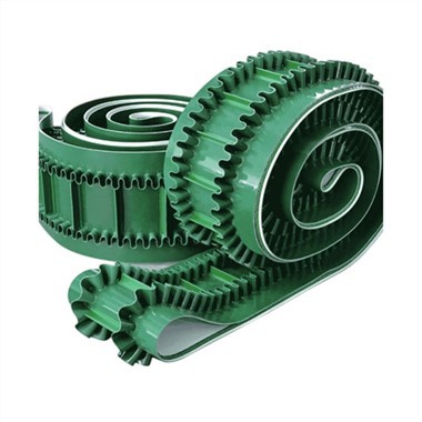 Sānu siena un konveijera lente